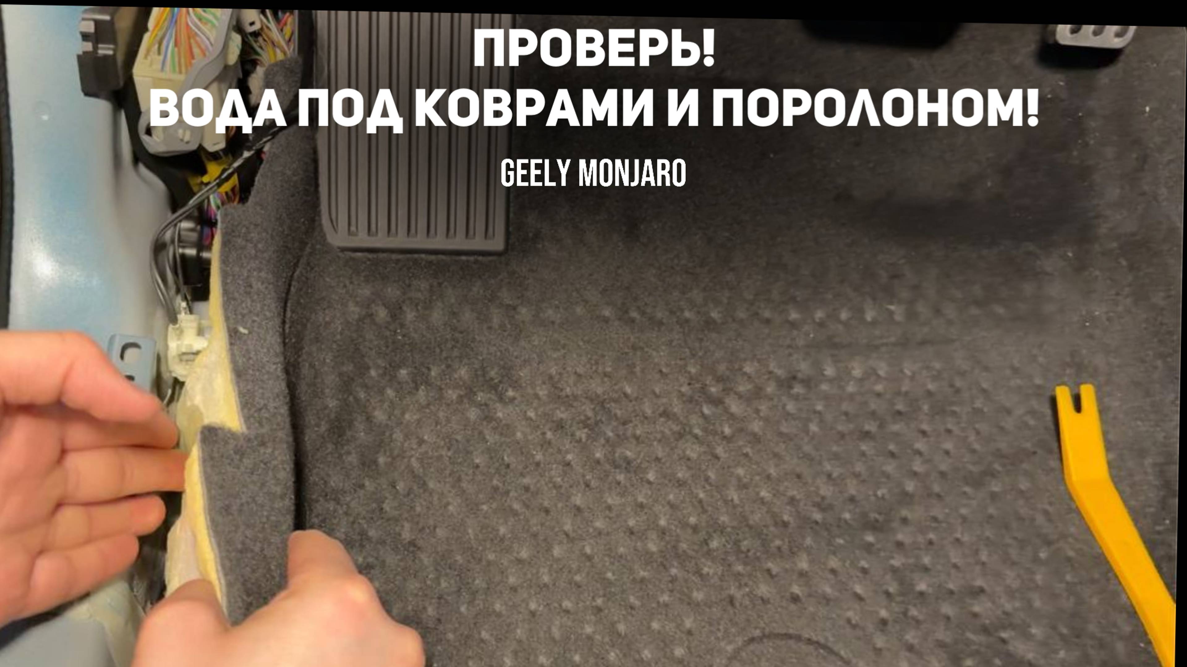 Проверь у себя! Вода под коврами и в поролоне полов. Как избежать? Джили Монжаро/ Geely Monjaro