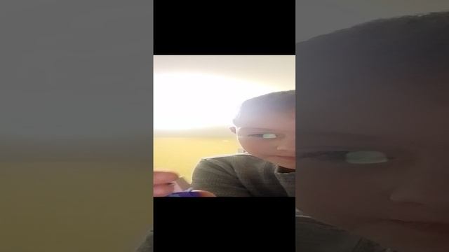 обзор л м