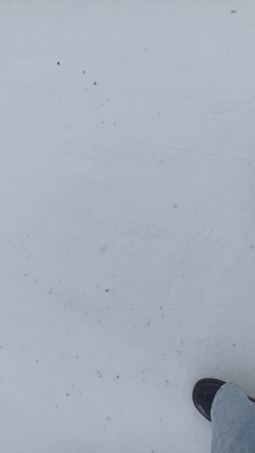 жизнь
