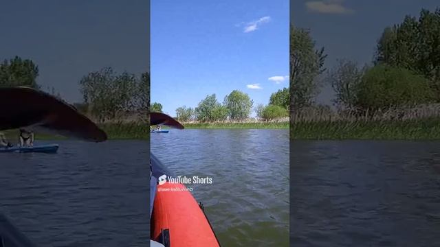 Водное ассорти.
