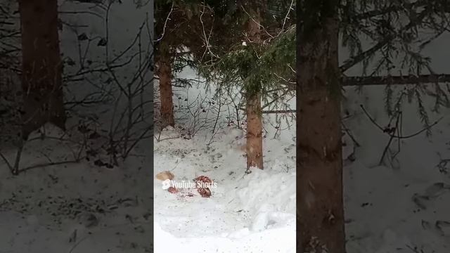 1000342575.mp4