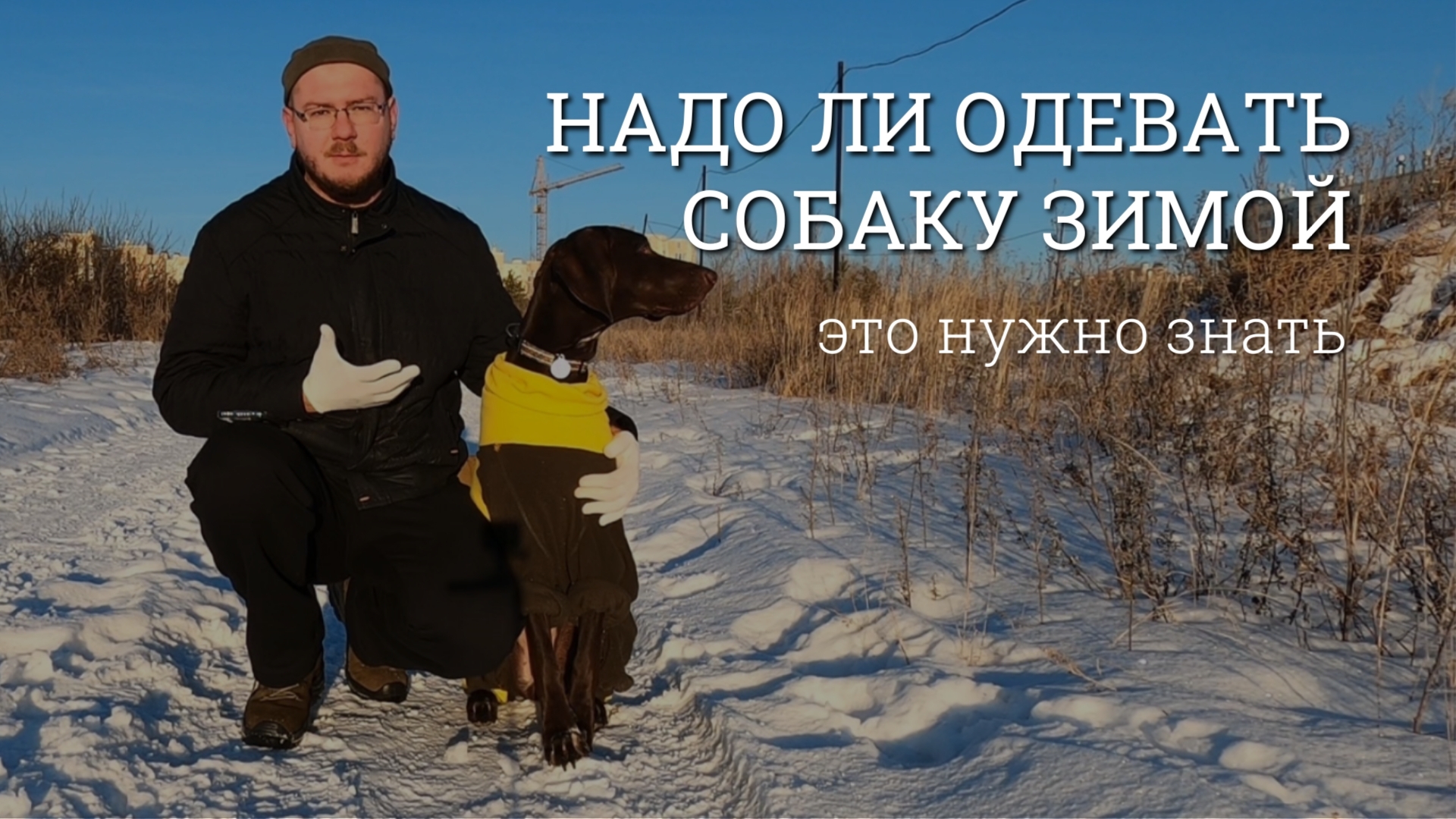 Надо ли одевать собаку зимой. Переохлаждение и болезни. Это должен знать начинающий владелец собаки
