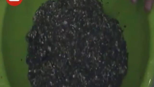 | Yarpaq dolması hazırlanması | Yaprak sarması | Фаршированные виноградные листья (Долма) |