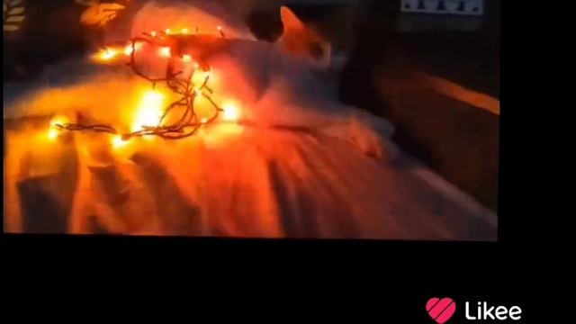 Я теперь есть в лайке! Конал, Cat_Queen1231235