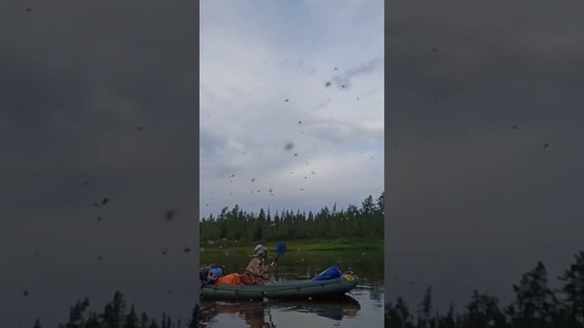 По речке Собь