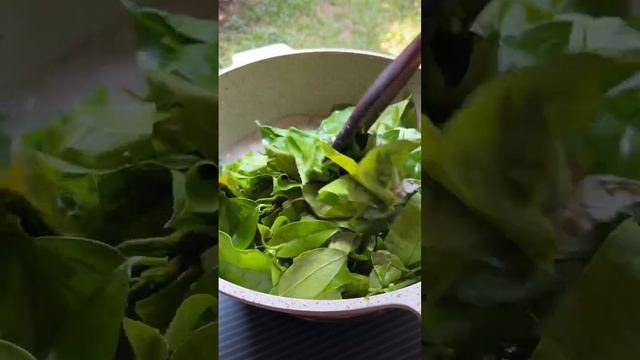 Thai Street food Melindjo leaves in coconut milk soup with prawn Thailand food