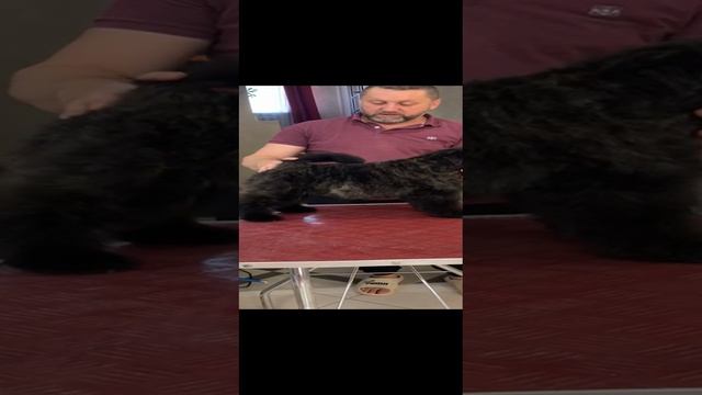 1000049804.mp4