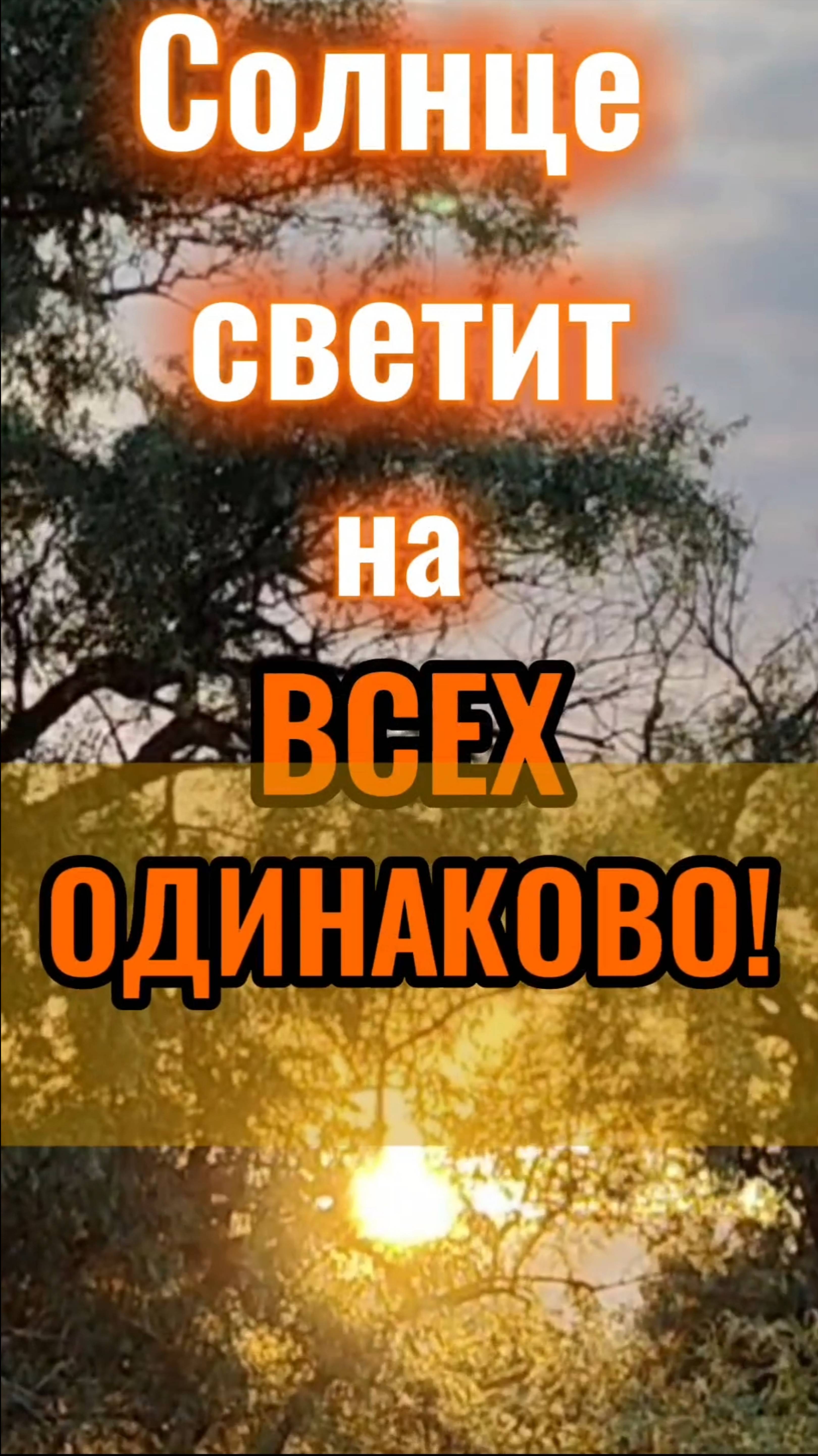 Солнце светит на всех одинаково.
# осознанность # целостность, # единство сущего.