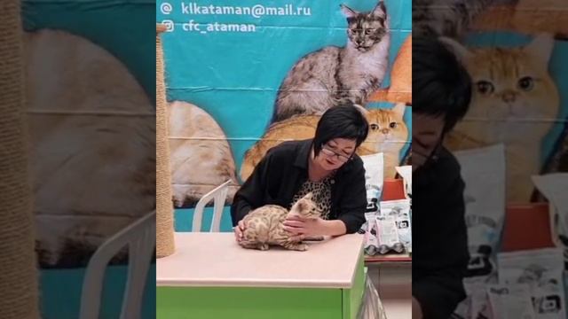 Бруно на ринге
