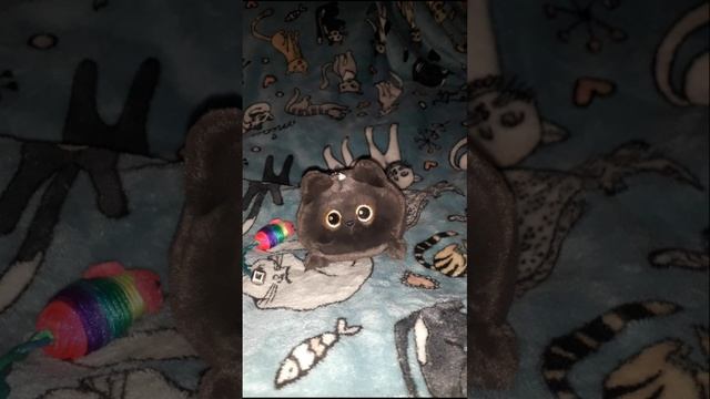 Мышь кружится