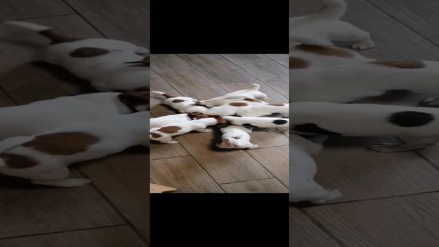 upload_2025_01_07_17_35_27_249