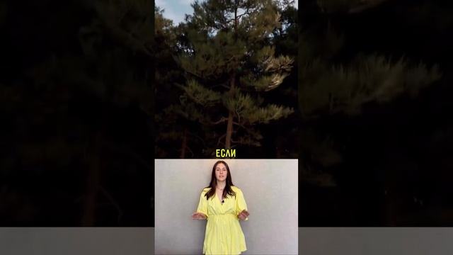 для тех, кто любит выходит в полёте из самолёта:)