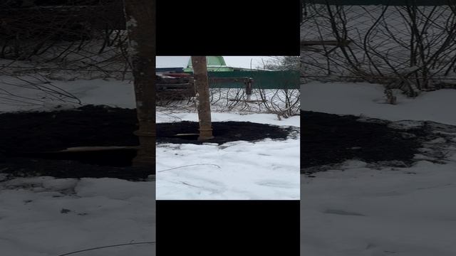 Копка колодца , колодец , бурение колодца машиной