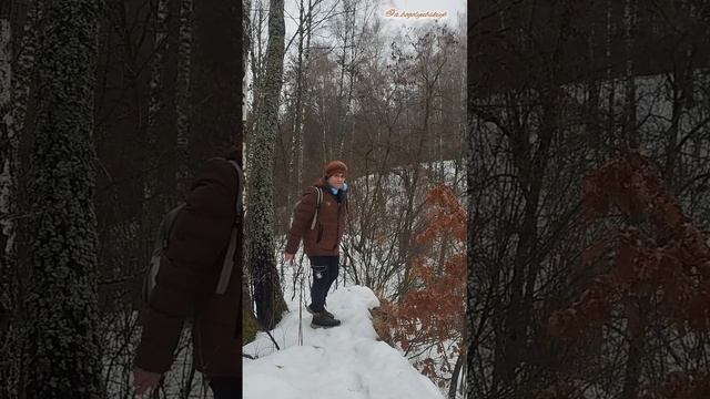 В роще я берёзовой побегаю немного 🚶♂️🌳😄👍