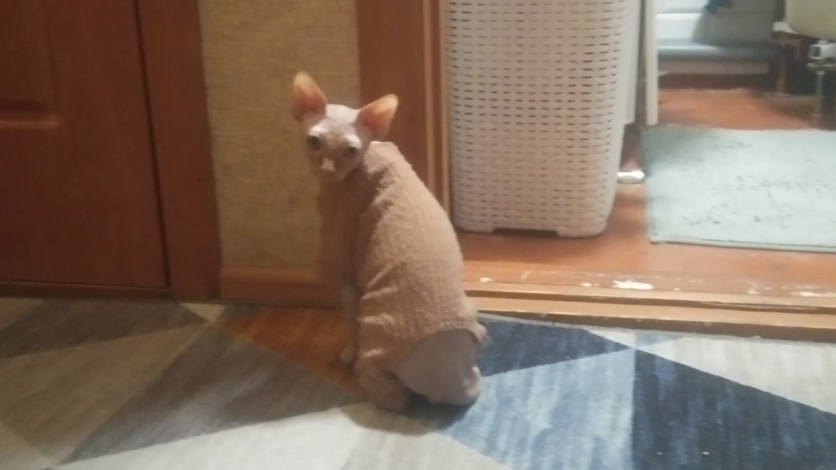 Кэфа