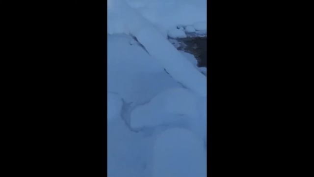 Маршрут выходного дня с алиэкспресс