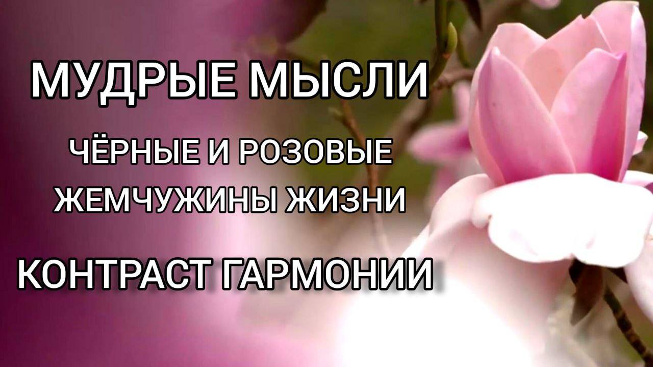 Мудрые мысли. Ожерелье ЖИЗНИ: чёрные и розовые жемчужины. Читает Виктория Деметрис
