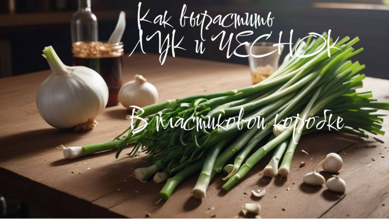 Как вырастить лук и чеснок в пластиковой коробке