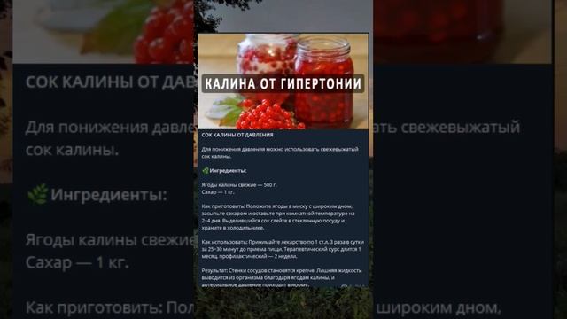 Пей сок калины и забудь про давление