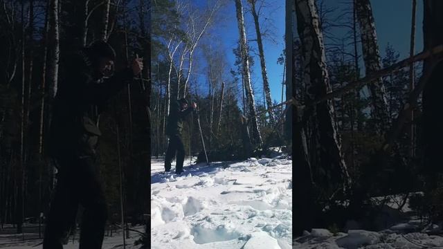 Лыжная прогулка в лесу