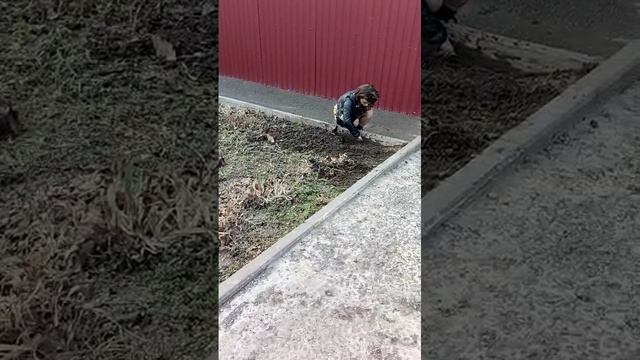 в поисках золотого кольца
солевая копает дозу