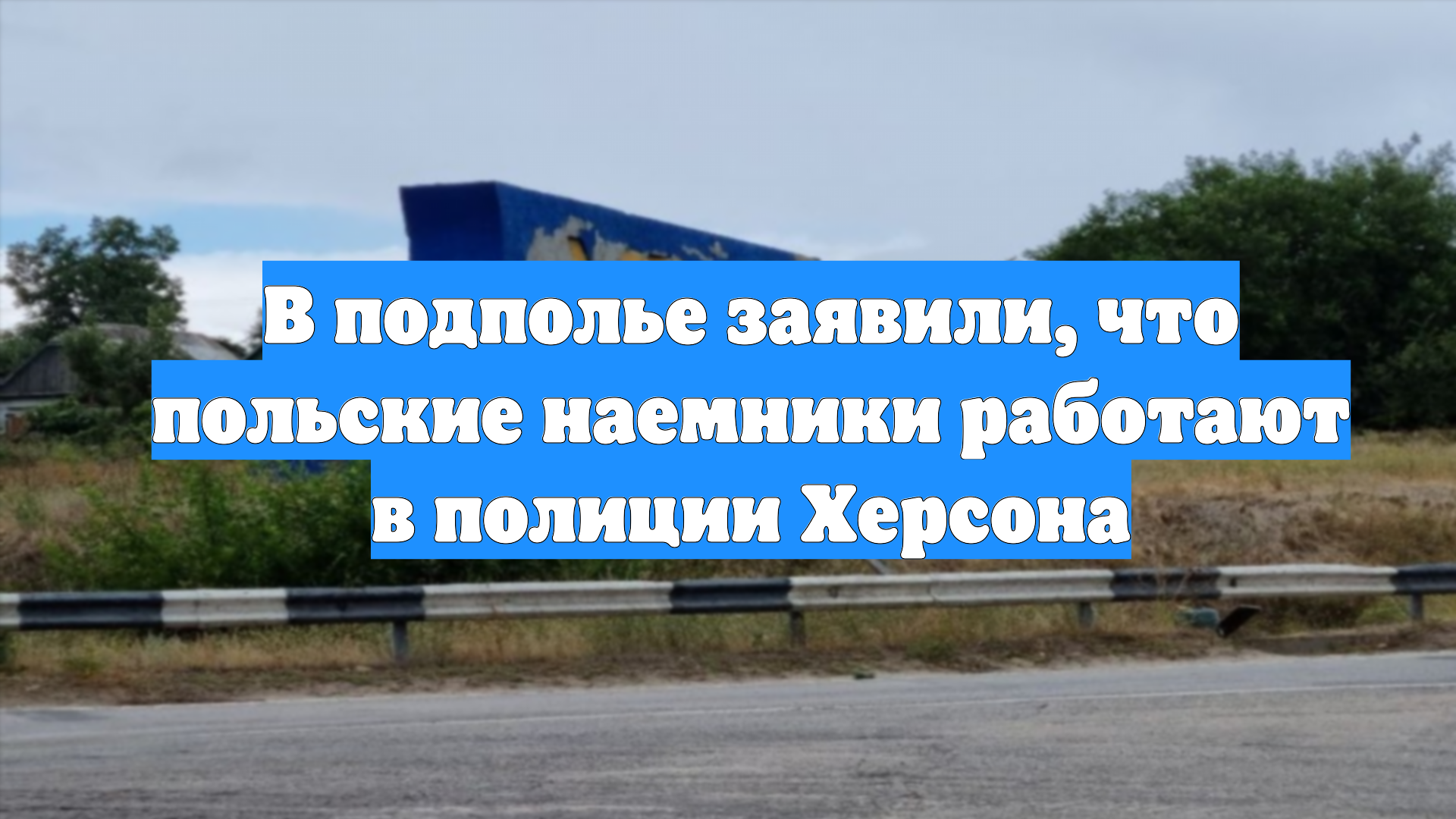 В подполье заявили, что польские наемники работают в полиции Херсона