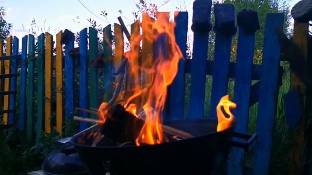 Готовим шашлык из лосятины на разливном пшеничном пиве. Супер рецепт.