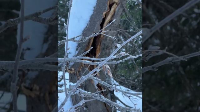 Счастье живет рядом с нами