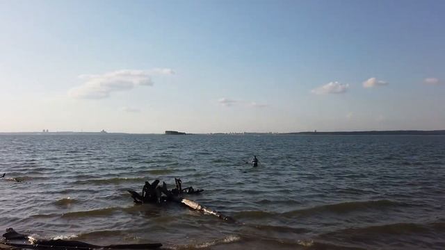 Худший шашлык из ЛЕНТЫ / Прогулка с псом по Новосибирскому водохранилищу