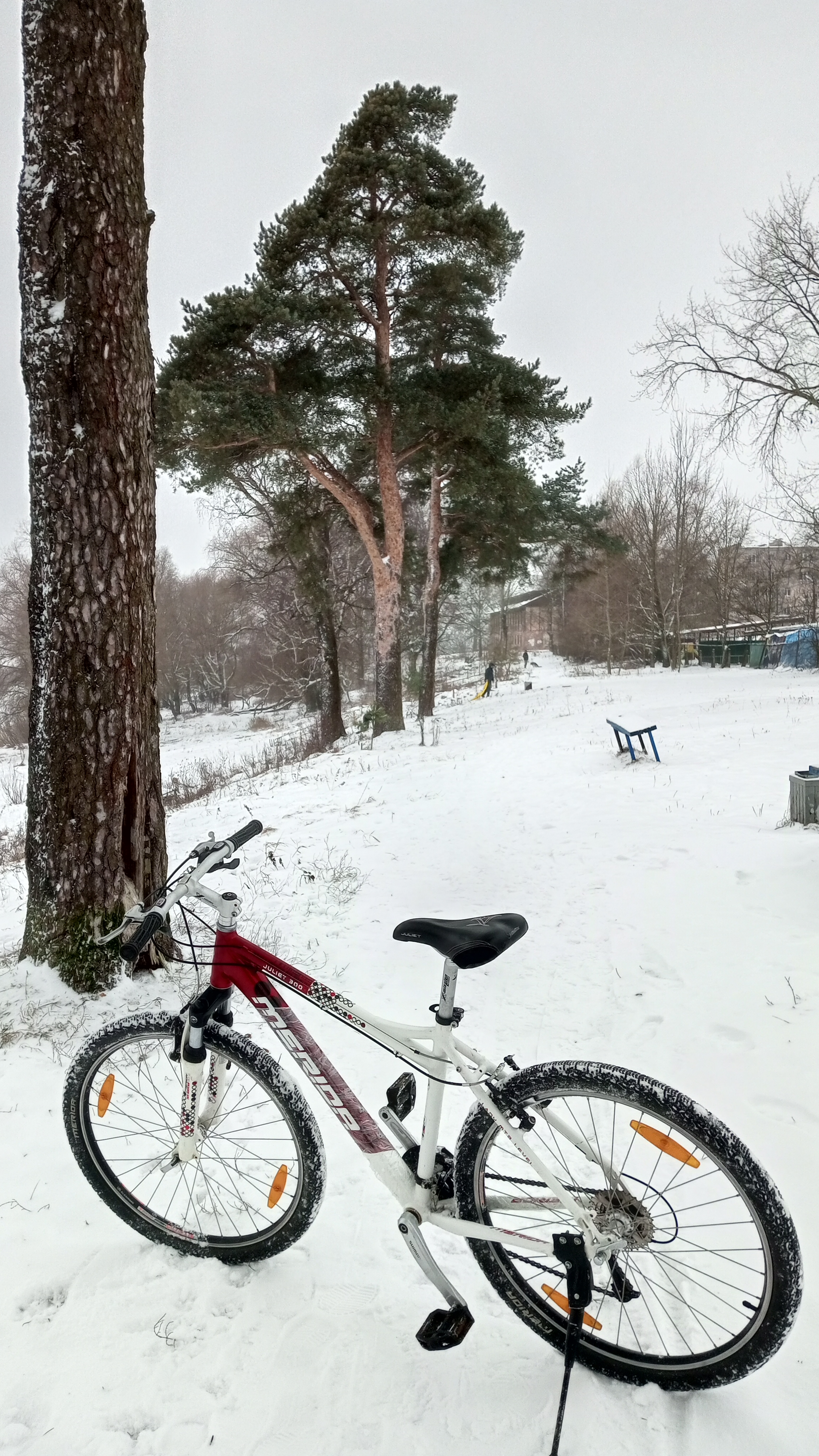 Джульетта, новая Ирина коняжка 🚲