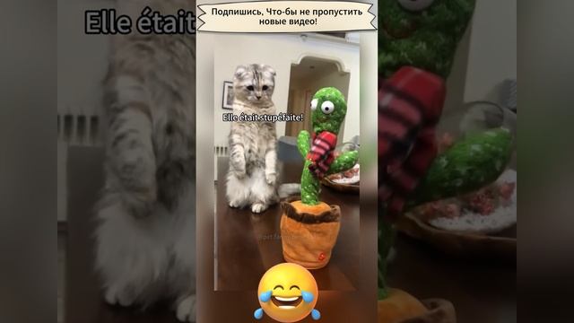 Животные и говорящая игрушка