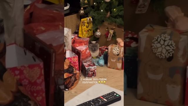 Испугался #shorts