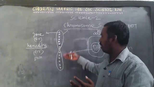X - SCIENCE -2 -CHROSMOSOMES