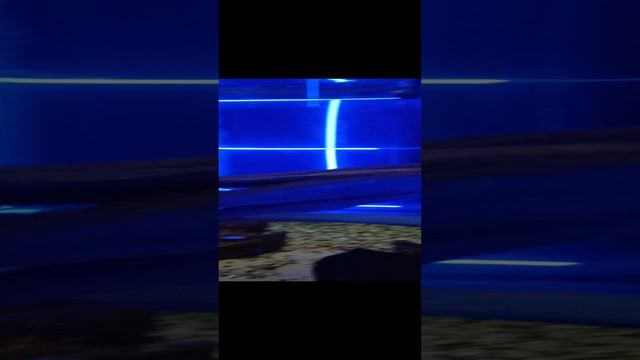 1000012034.mp4