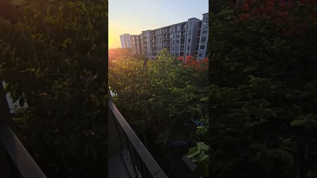 Ты всегда можешь ВЫБРАТЬ/МЕНЯТЬ, помни об этом. Ты можешь менять слои ЭМС. ЭТО И ЕСТЬ СВОБОДА ВОЛИ.