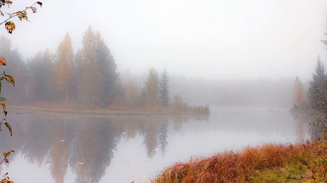 Осенняя поэзия