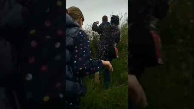 Искатели