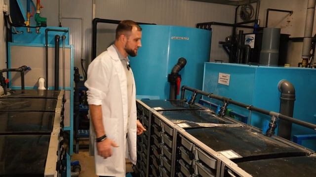 БИЗНЕС НА ВЫРАЩИВАНИИ МАЛЬКА. Как Спроектировать и Построить Мальковую ферму УЗВ?