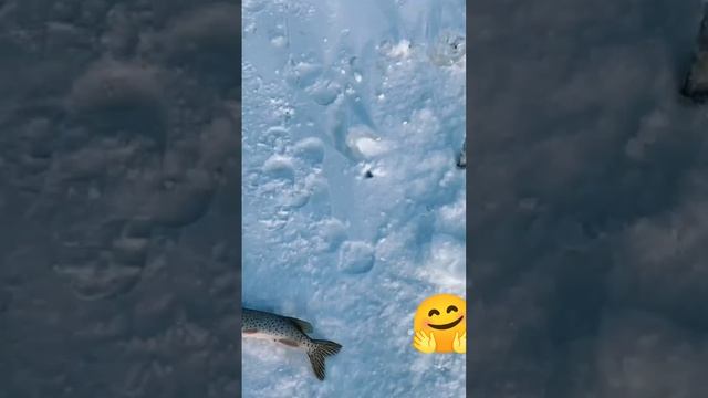 Рыбалка!!!