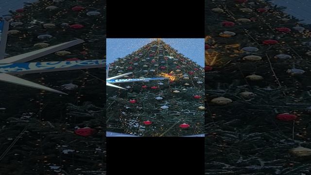 VID_20250107_160555.mp4