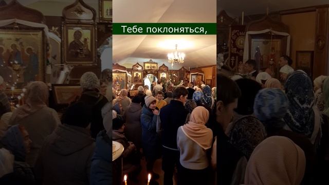 Рождество в Петергофе