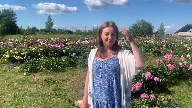 Цветение пионов в нашем питомнике. Отзывы (4я часть). Пулков сад, 2024 г.