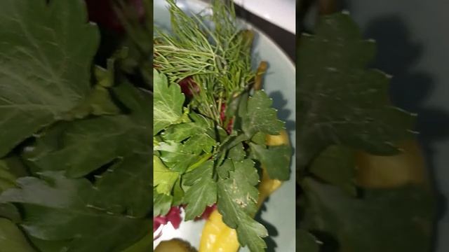 Домашние соленья