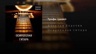 Алексей Коротин - Трофи тревел