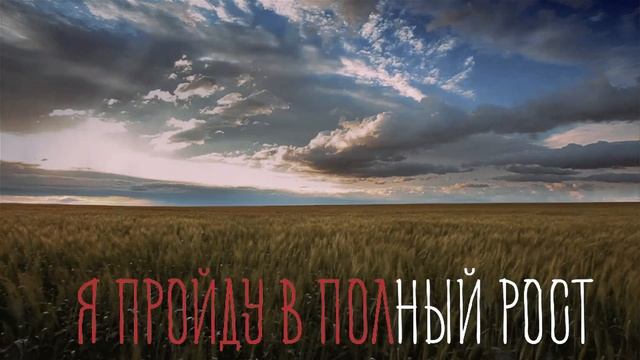 "По высокой траве" - караоке