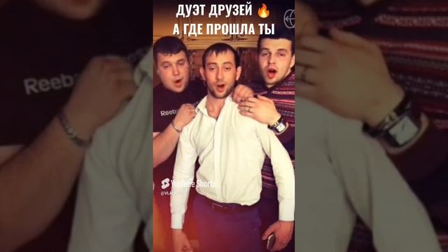 Лучшие друзья 😂🤪