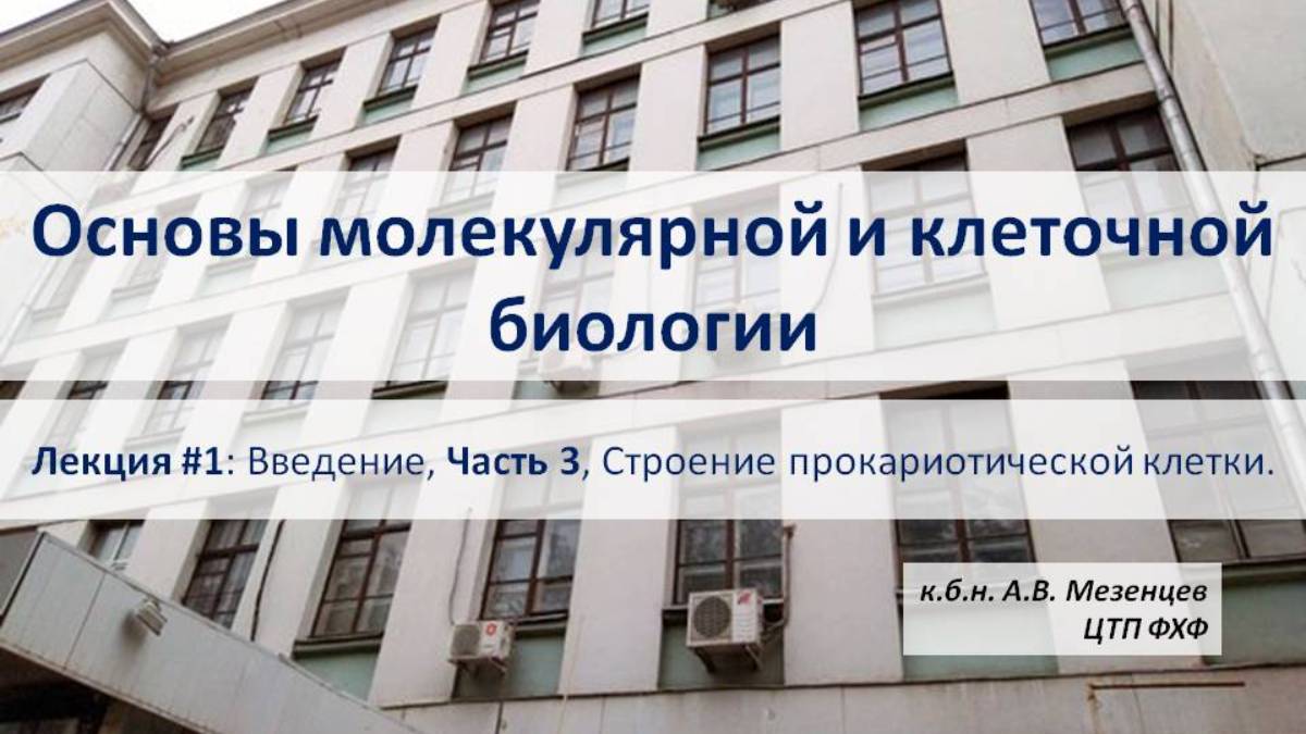 Основы молекулярной и клеточной биологии. (2024). Лекция 1.3. Вводная. Прокариотическая клетка.