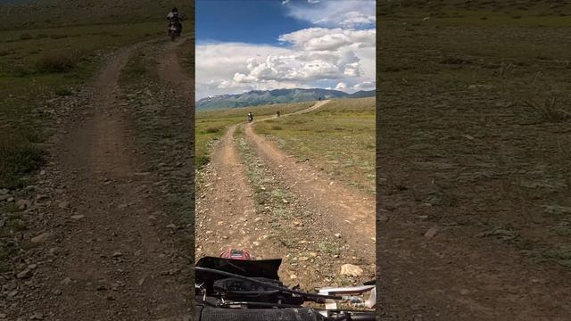 Курайская степь