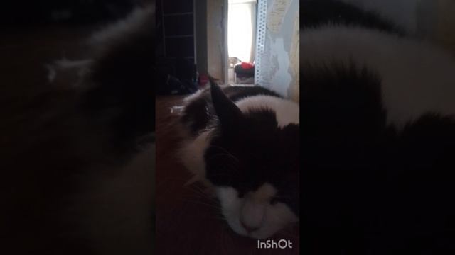 одыхают