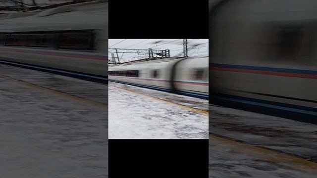 Скоростной Сапсан